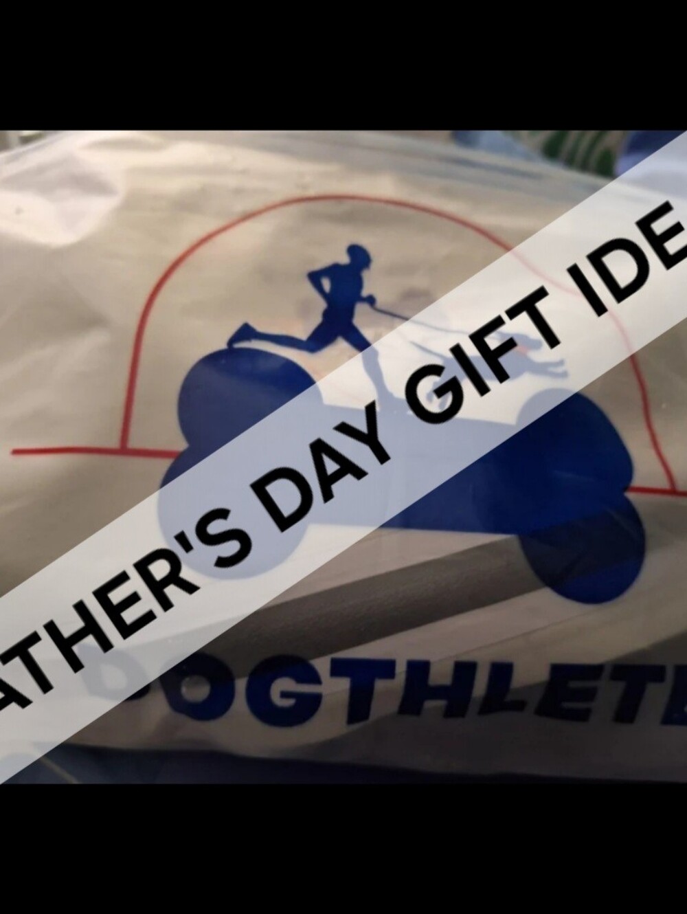 Dogthlete Brand HANDS-Free WALKING/Runners System